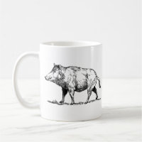 Wild Boar / Wildschwein