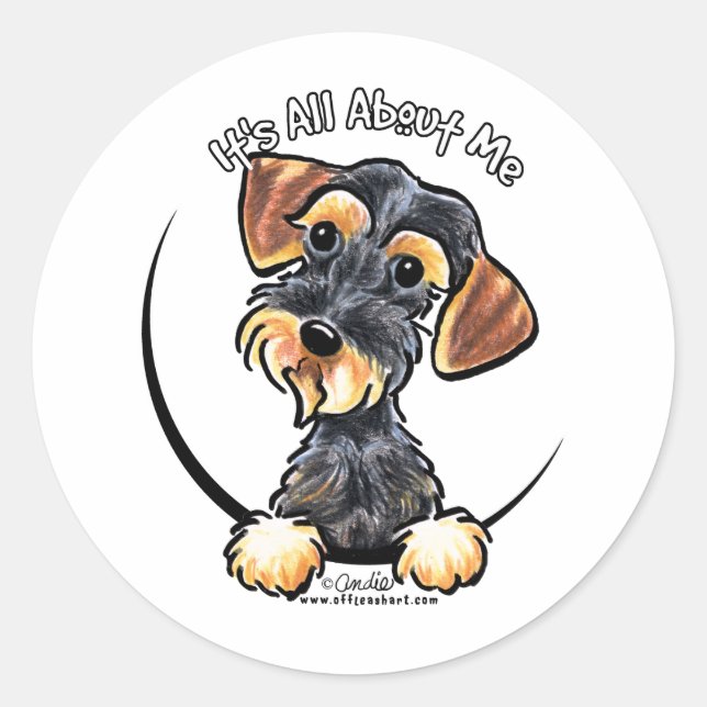 Wild Boar Wirehaired Dachshund Its All About Me Classic Round Sticker (Front)