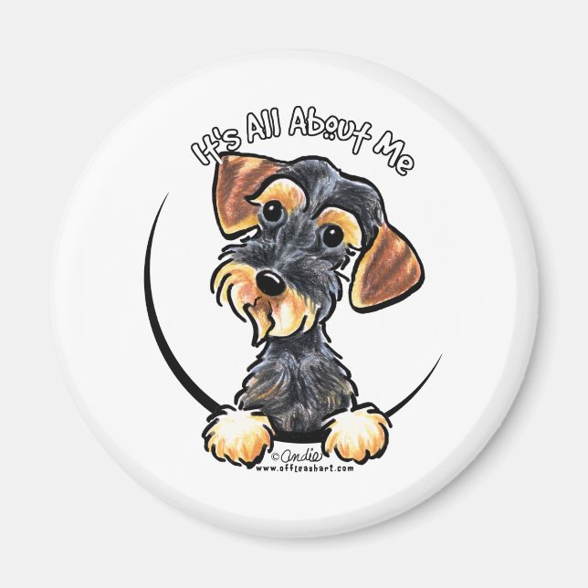 Wild Boar Wirehaired Dachshund Its All About Me Magnet (Front)