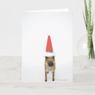 Wild boar with Christmas hat Holiday Card