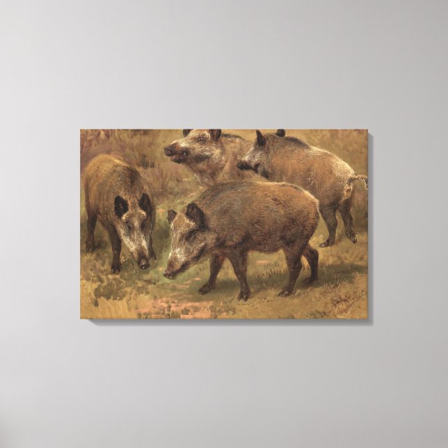 Wild Boars in a French Landscape (by Rosa Bonheur) Canvas Print (Front)