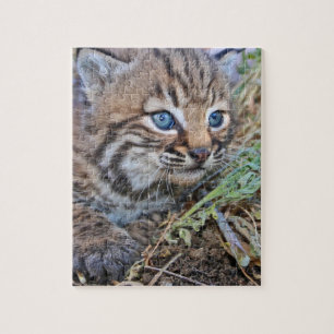 Wild Bobcat Kitten Jigsaw Puzzle
