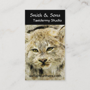 Wild Bobcat Taxidermy Photographic Art Business Card