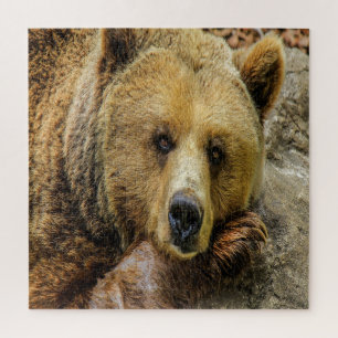 Wild Brown Bear Jigsaw Puzzle