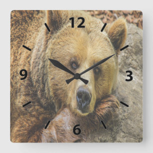 Wild Brown Bear Square Wall Clock