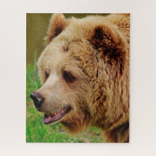 Wild Brown Bears. Jigsaw Puzzle