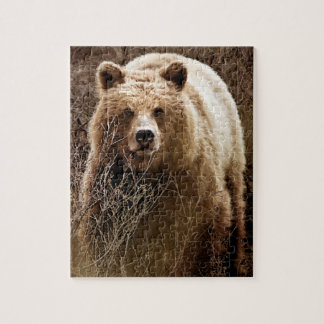 Wild Brown Grizzly Bear - Wilderness Jigsaw Puzzle