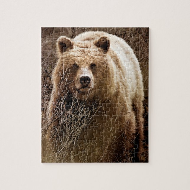 Wild Brown Grizzly Bear - Wilderness Jigsaw Puzzle (Vertical)
