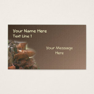 Wild Brown Mushroom Stack Nature