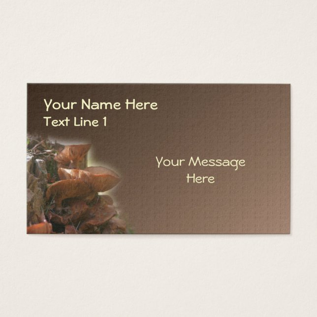 Wild Brown Mushroom Stack Nature (Front)