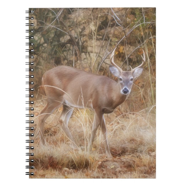 Wild Buck Deer in a Fall Meadow Journal Notebook (Front)