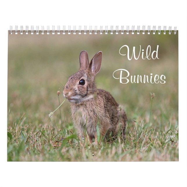 Wild Bunnies Calendar (Cover)