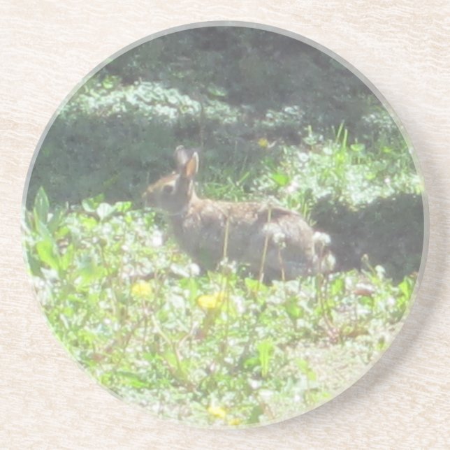 Wild Bunny Coasters (Front)