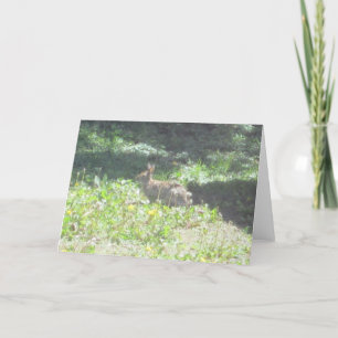 Wild Bunny Greeting Card