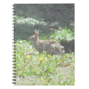 Wild Bunny Notebook