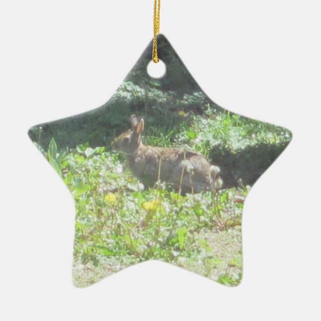 Wild Bunny Ornament (Front)