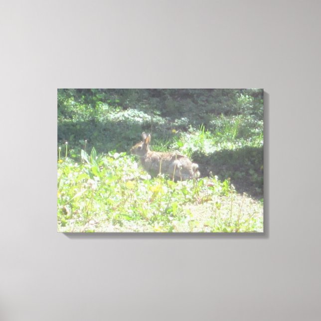 Wild Bunny Photo on Canvas Print (Front)