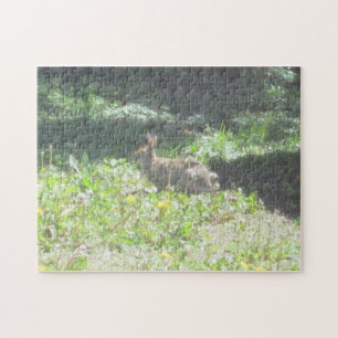 Wild Bunny Puzzle
