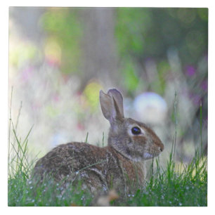 Wild Bunny Rabbit in The Grass Tile