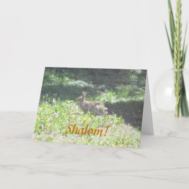 Wild Bunny "Shalom!" Jewish Greeting Card (Front)