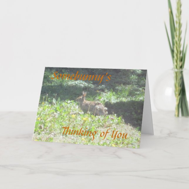 Wild Bunny "Somebunny's Thinking of You" Card (Front)