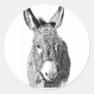 Wild Burro Classic Round Sticker