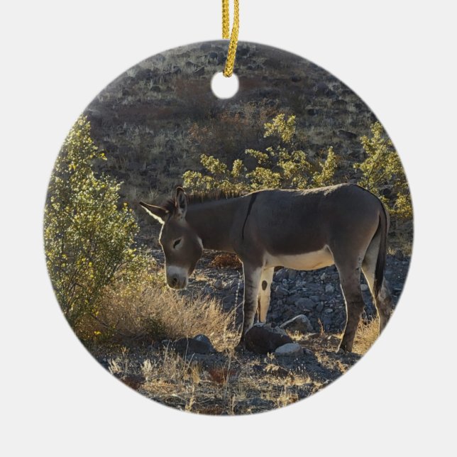 Wild Burro near Oatman, Arizona Ceramic Tree Decoration (Front)