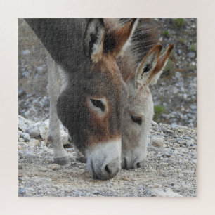 Wild burros, donkeys, wildlife, puzzle