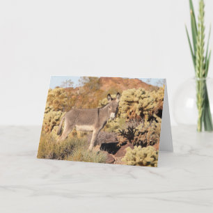 Wild Burros Greeting Card