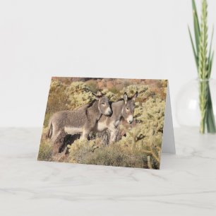 Wild Burros Greeting Card