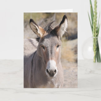 Wild Burros of California Card