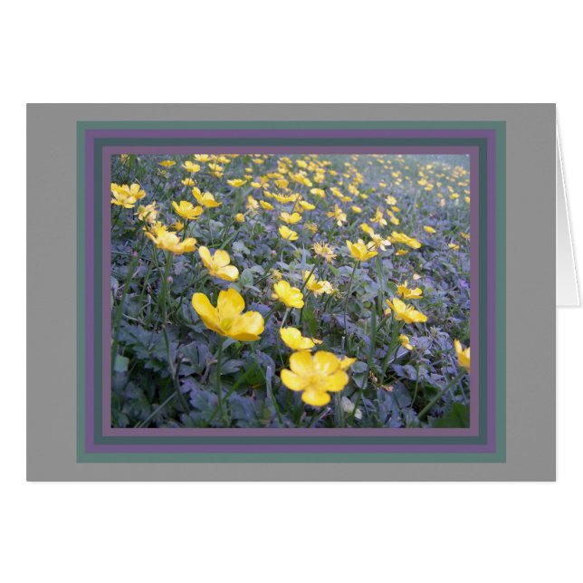 Wild Buttercups Card (Front Horizontal)