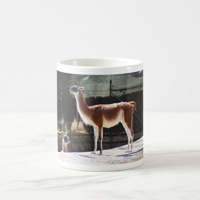 Wild camel coffee mug (Center)