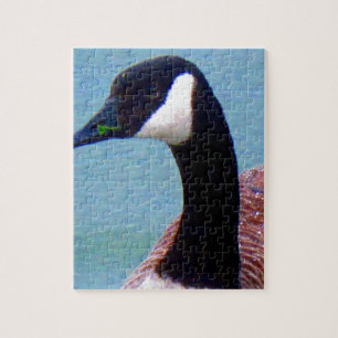 Wild Canadian Goose Jigsaw Puzzle