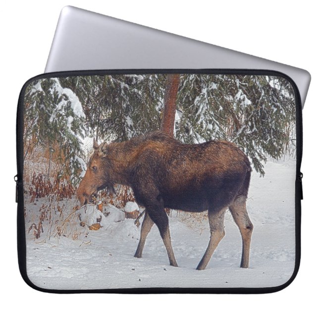 Wild Canadian Moose Cow & Winter Forest II Laptop Sleeve (Front)