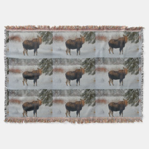 Wild Canadian Moose in Winter Snow IV Throw Blanket