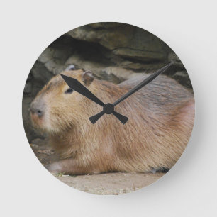 Wild Capybara Clock