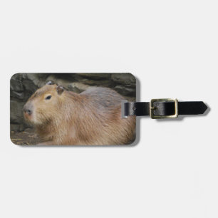 Wild Capybara Luggage Tag