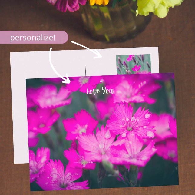 Wild carnations customisable  holiday postcard (Creator Uploaded)