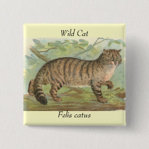 Wild Cat 15 Cm Square Badge