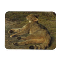 Wild Cat (by Rosa Bonheur)