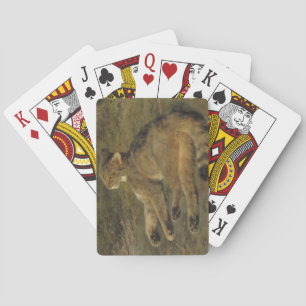 Wild Cat (by Rosa Bonheur) Playing Cards