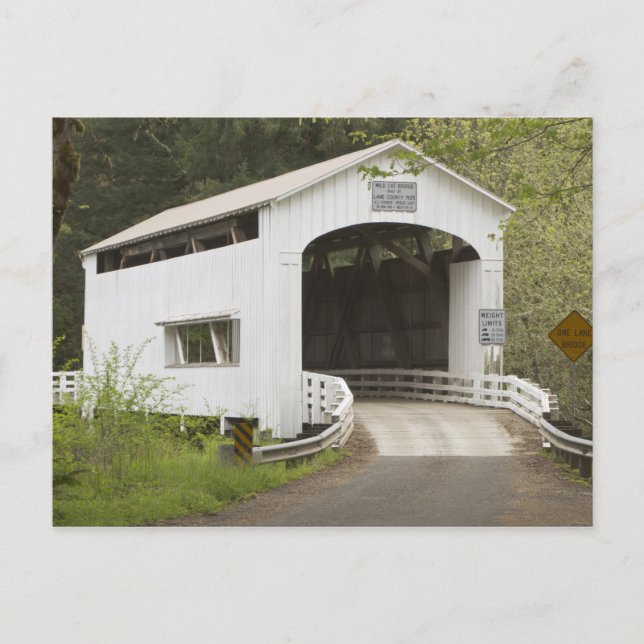 Wild Cat covered bridge, Lane County, Oregon Postcard (Front)