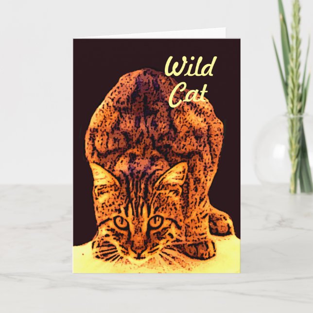 WILD CAT KITTEN CARD (Front)