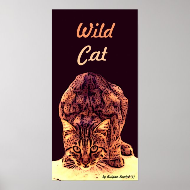 WILD CAT KITTEN POSTER (Front)