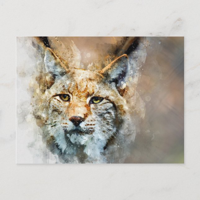 wild cat postcard (Front)