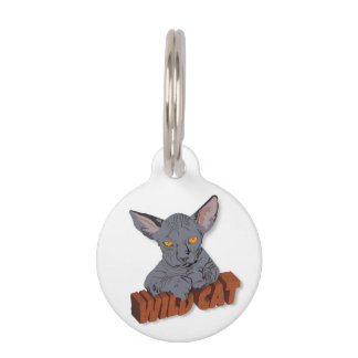 Wild cat Sphynx Pet Tag