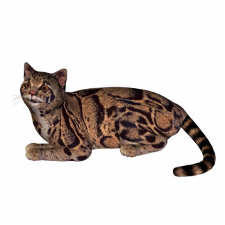 wild cat standing photo sculpture