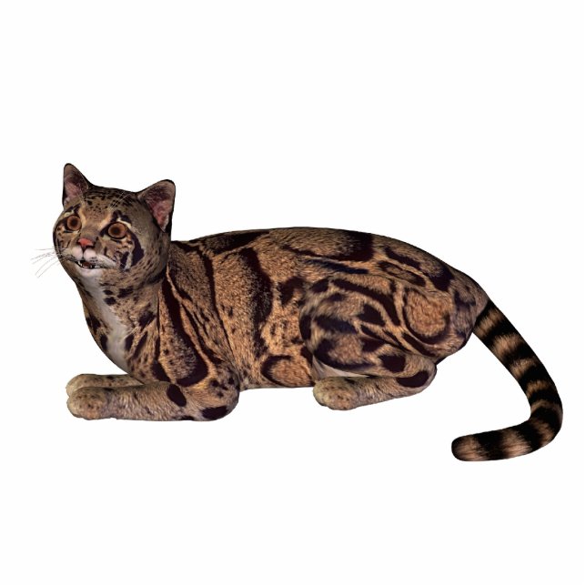 wild cat standing photo sculpture (Front)