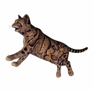 wild cat standing photo sculpture